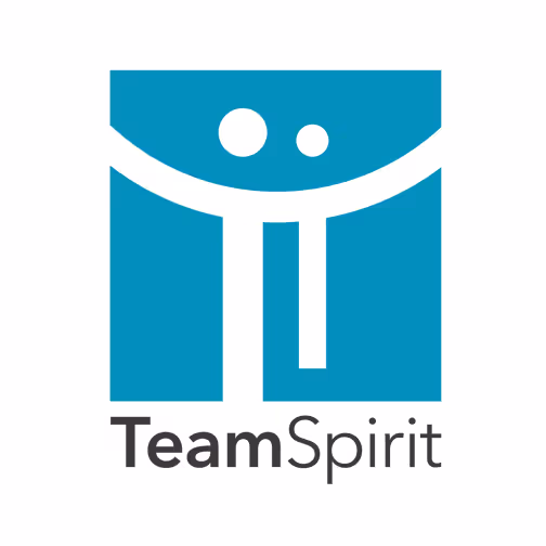 チームスピリット