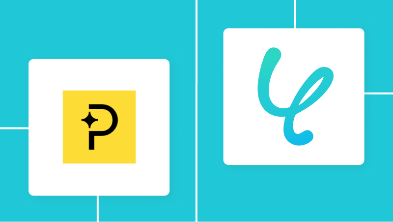 【Paddle API】各種アプリとの連携方法から活用事例まで徹底解説。